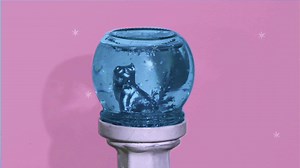 Watch How to Make a Snow Globe on Amazon Live