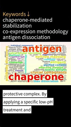 CHO Cell Paper Summary | Difficult-to-express antigen generation through a co-expression and disass…