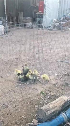 Thôi ta đi nhậu thôi.anh em đang chờ kkkkkk.....