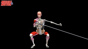 74K views · 2.2K reactions | Landmine Squat to Rotational Press |...