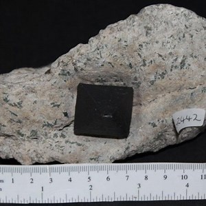 Magnetite For Sale | Gem Rock Auctions