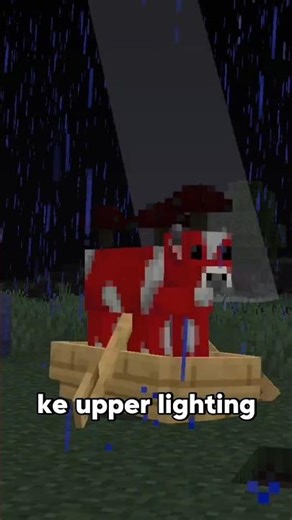 Why Did Minecraft Add This Lightning Feature?😯
