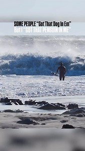As a Surfer, It’s just You VS the Elements… Some People Got That Dog In Em…. But I Got That Penguin In Me!🫡 | Brett Barley