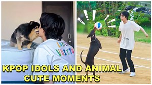 115K views · 10K reactions | Kpop Idols And Animal Cute Moments | Kpop NL | Facebook