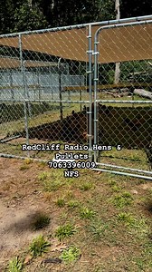 16K views · 580 reactions | Dre RedCliff on Reels | Facebook