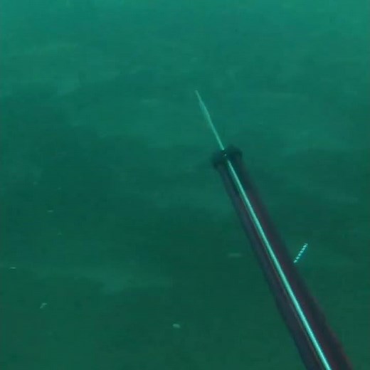 🐟 PROSPECTION : Banc de maigres au sondeur Humminbird Helix 🐟 👆 Abonnez-vous 😉 #video2mam