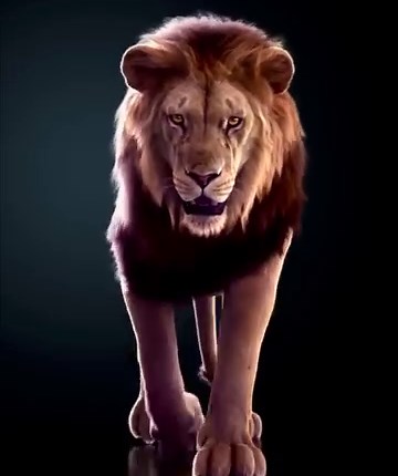 7.2K views · 230 reactions | Creature Artist Massimo Righi showcased a new photorealistic 3D lion model created using ZBrush, Maya, XGen, and Arnold. See more of Massimo's works: https://80.lv/articles/have-a-look-at-this-realistic-lion-model-made-in-maya-zbrush/ | 80 Level | Facebook
