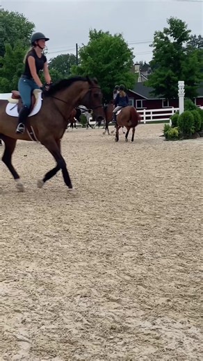 Full Chaps English Riding: A Display of Equestrian Excellence