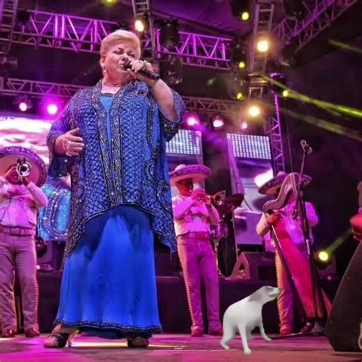 Day 240... #dogdance #dancedog #meme #paquitaladelbarrio #ratadedospatas #ranchero #mexico #dogsoftiktok