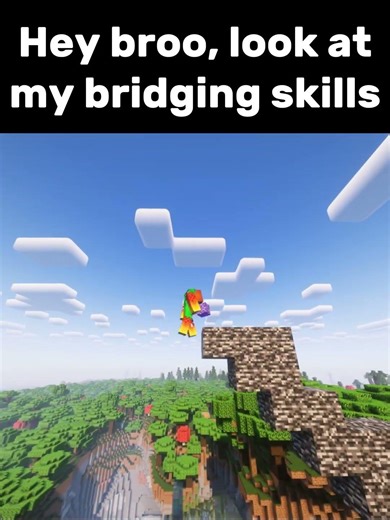 Such a PROFFESIONAL bridger 😂🤦‍♂️ #minecraft #memes