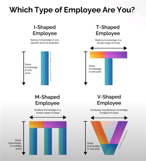 🌐 The way we define #talent has fundamentally shifted; technical-expertise alone is no longer enough. #Organizations now thrive on breadth, depth, and adaptability. This framework captures four archetypes of #employees: I-Shaped: Deep specialists T-Shaped: Experts with breadth M-Shaped: Multi-specialists V-Shaped: Connectors From a strategic #HR perspective, the #future of #work will not be about privileging one "shape" over the other. Instead, it’s about: Building #teams with #diversity of pro