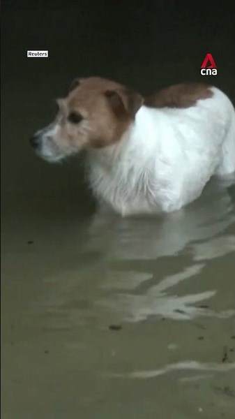 Heavy rains trigger flooding across parts of Taiwan