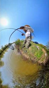 PESCUIT LA FEEDER 360⁰ DUPA ȘOBOLANI PUTERNICI