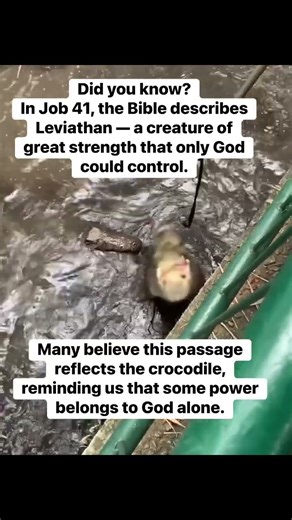 Job 41:What/Who is Leviathan? #christianshorts #christiancontent # faithcommunity #biblestudy