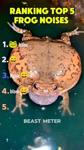 Ranking Top 5 Frog Noises #funny #funnymoments #dogs
