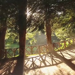 89 reactions · 12 shares | Explore one of England's greatest mansion houses at Audley End, just off the M11. | Audley End House and Gardens | Facebook