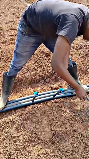 Drip irrigation installation | Farm with Tonny greenhouse and irrigation solutions