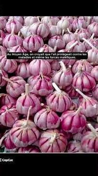 AIL : Histoire et contexte