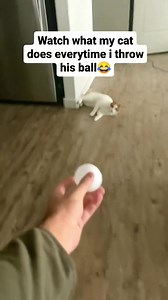 387K views · 18K reactions | Good catch!  | The Cat Butler - UK | Facebook