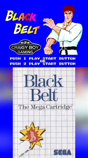 Black Belt (SEGA Master System) – A True Retro Knockout! #sega #retrogamingfun #mastersystem #8bit