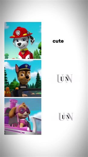 SKASE Version with Paw Patrol Characters
