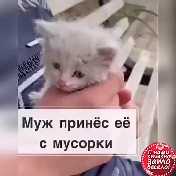 ꧁༺Serega ༻꧂ (@serega......serega)’s videos with оригинальный звук - ꧁༺Serega ༻꧂