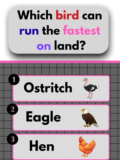Test Your Knowledge with Our Birds Quiz