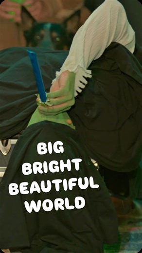 Once upon a time there was Drunk Shrek 💚 Now streaming on YouTube 💃 CAST LIST ✨ Shrek… Jack Newsome 🧅 Fiona… Lady Adelaide 💚 Donkey… Chanse McCrarry 🫏 Lord Farquaad… Liam K Sullivan 👑 Pinocchio… FunkyFrogBait 🐸 Dragon… Maeve Riley 🐉 Gingy… Fay Kanevsky 🧚‍♀️ Host… Tessa Netting 🧙‍♀️ Sign Master… Jackie Emerson 🪧 Green Morphsuit… Jeremy Alvarez 🧑‍🎤 Green Morphmoose… Trevor Goober 🫎 | Drunk Lady Productions