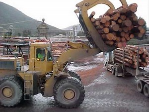 CAT 988 log loader unloading log truck