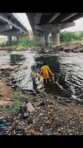 Net Casting for Beginners: Expert Tricks Revealed