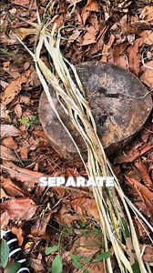How To Make Rope From A Tree With One Knife