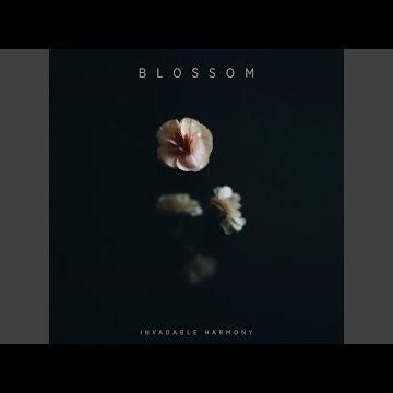 Beautiful Splatter (Music Box)