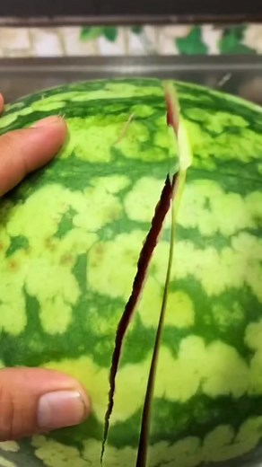 fruit.tv🍉🍇🍎🍋🌽 (@fruit.tv)’s videos with original sound - fruit.tv🍉🍇🍎🍋🌽