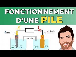 Understanding the operation of an ELECTROCHEMICAL CELL 🔋 (Physics-Chemistry)