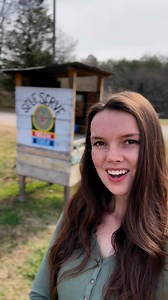 Farmstand 101 Intro 👩🏻‍🌾🐓Let me be your guide to a successful farmstand. I’m going to let you in on any tips and tricks that I’ve learned along the way. let me know what questions you have about running a farm stand, and I will do my best to answer in the coming parts. What do you want to see in part 1?#eggs #chickens #homestead #backyardchickens #happychickens #roadsideamerica #homesteading #freerangechickens #freerangeeggs #eggstand #farmstand #producestand #honorsystemfarmstand #honorsyst