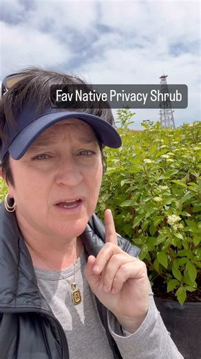 692K views · 10K reactions | There are many different varieties of...