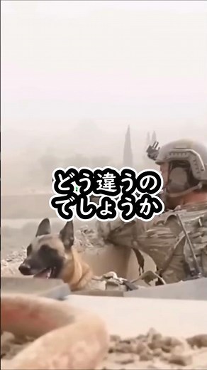 アメリカ軍が最強と言われる理由#ゆっくり軍事 #米軍