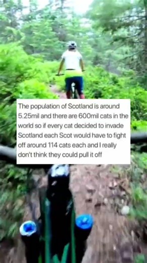 Scotland vs 600 Million Cats… Do The Math 😂🏴󠁧󠁢󠁳󠁣󠁴󠁿 #shorts