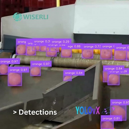 🚀 Visual Prompt to Object Detection & Segmentation without Training - YOLOvX 🚀 #ai #computervision