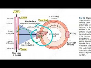 Medicine 039 Pharmacokinetics what is factors affecting first pass metabolism drug interactions