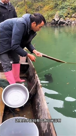 No Rod, No Bait… This Simple Net Trap Came Up FULL of Shrimp 🦐😳