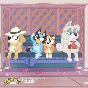 Bluey | Bus | CBeebies | BBC Player