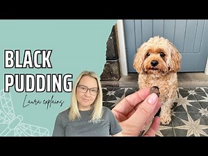 The Benefits of Black Pudding For Dogs