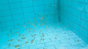 Discus-Siner.sk on Reels