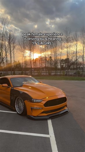 Celebrating Female Drivers in Cars