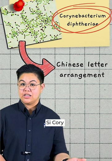 Understanding Corynebacteria in Pharmacy and Public Health
