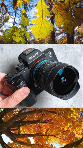 2.2K views · 60 reactions | Adapt vintage fisheye lenses to your mirrorless camera with Fotodiox Lens Adapters! Link in bio to learn more. - - #fisheye #fisheyelens #fotodiox #lensadapter #nikonf #sonye #sonya7sii #manuallens #vintagelens #16mmfisheye #fallphotography #autumnphotography #fisheyephotography #nikon16mm #nikon16mmfisheye | Fotodiox Inc. | Facebook