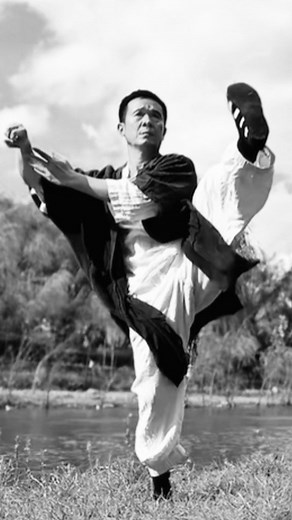 This is the Secret to "True Stillness": The stillness of Wuji is the very wellspring of ceaseless motion, the fundamental source from which all activity in the universe flows. By abiding constantly in this state of Wuji, one preserves their essential vitality, safeguards their primordial energy, and prevents the dissipation of their innate spirit. This aligns with the teaching from the Zhuangzi · Ke Yi: "Be pure and unadulterated, unified in stillness and unchanging, tranquil and non-acting—yet 