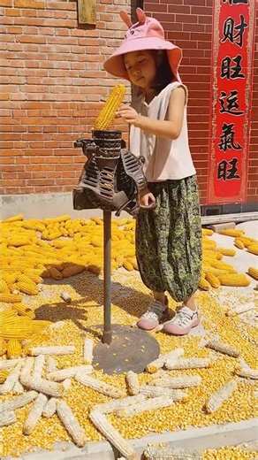 Old Traditional Machine For Removing Corn Seeds