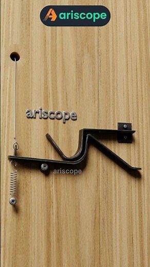 See How This Smart Door Latch Works #ariscope